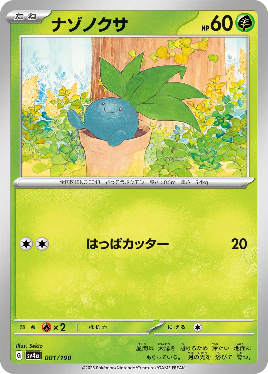 オリパイメージ画像